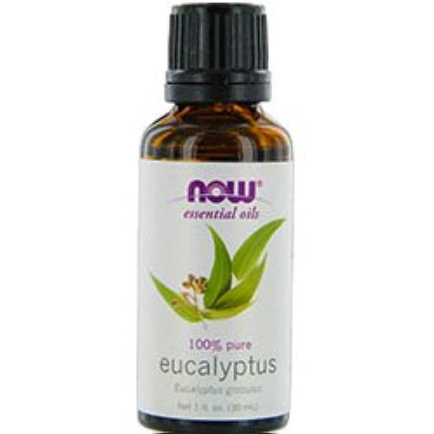 ESSENTIAL OILS NOW by NOW Essential Oils EUCALYPTUS OIL 1 OZ